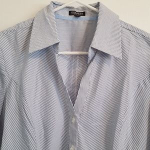 Express Blue White Stripe Button Business Shirt